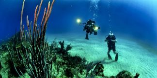 best places for scuba diving