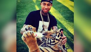 tyga tiger