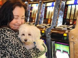 Pet Friendly Casinos