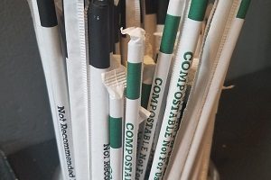 compostable straws