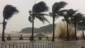 Typhoon Hato