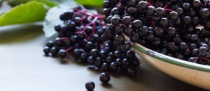 Elderberries