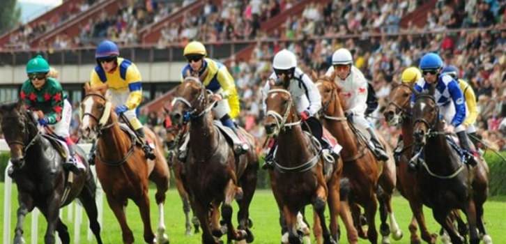 Bet On Horses Online