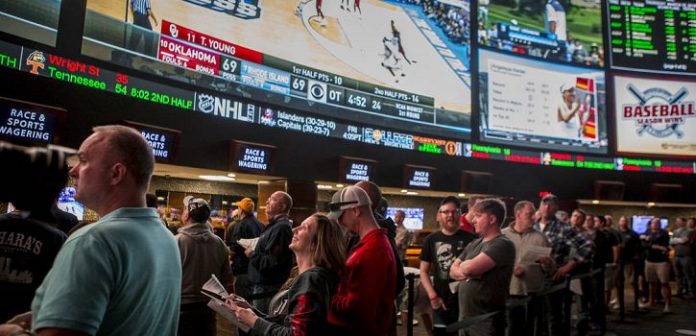 Women and Seniors Wary of Sports Betting, According to New US Poll