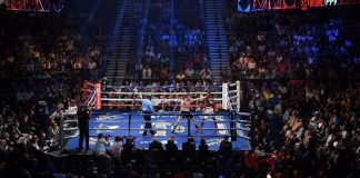 Exciting Fights Scheduled for 2019