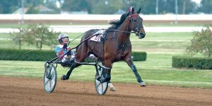 Harness Racing