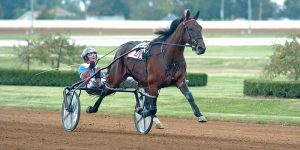 Harness Racing