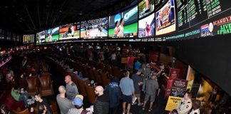 Showtime To Air Documentary On Professional Sports Gambling